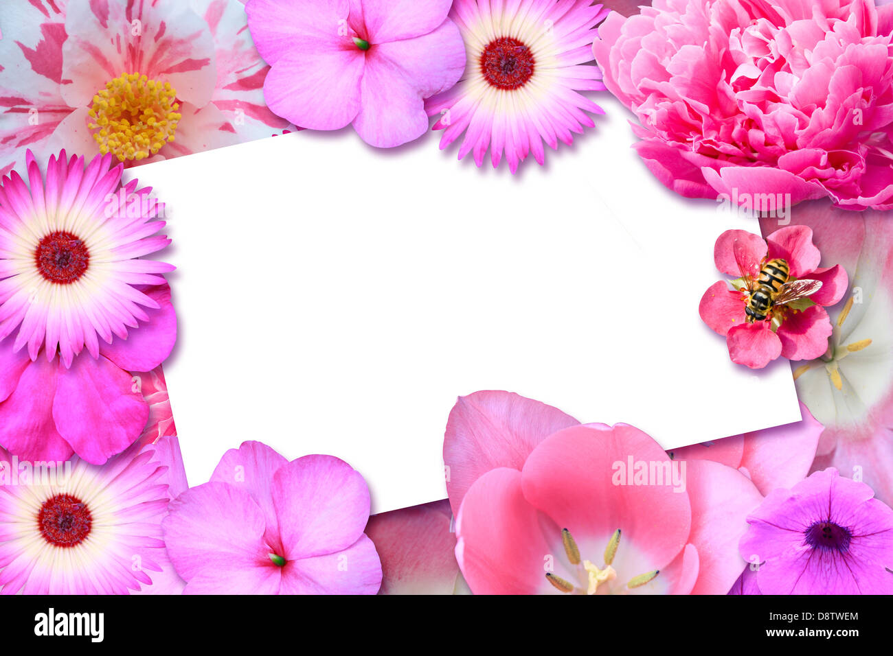  Karte mit Blumen Stockfotografie - Alamy Illustration 
