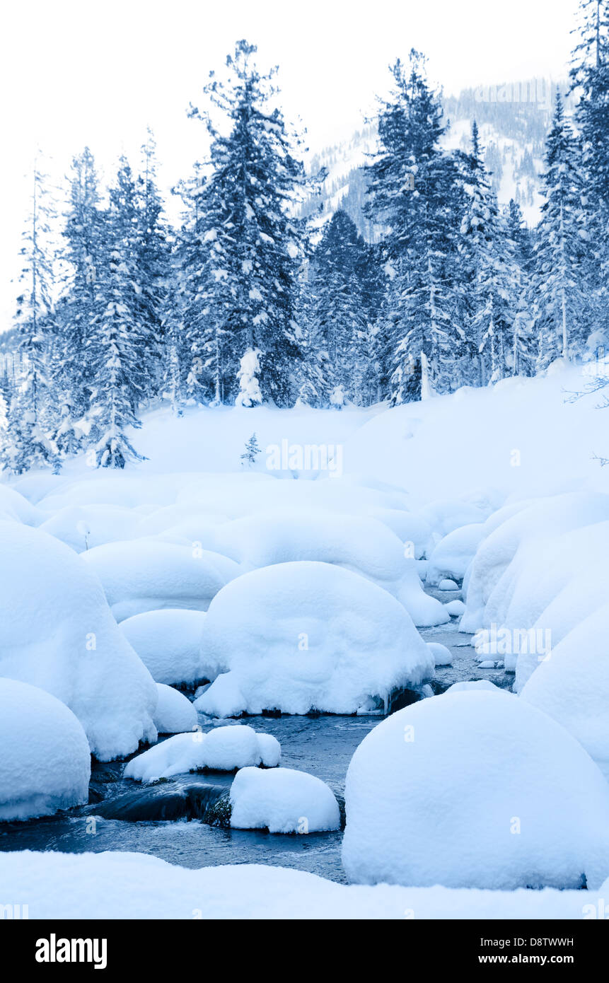Winter Wald stream Stockfoto