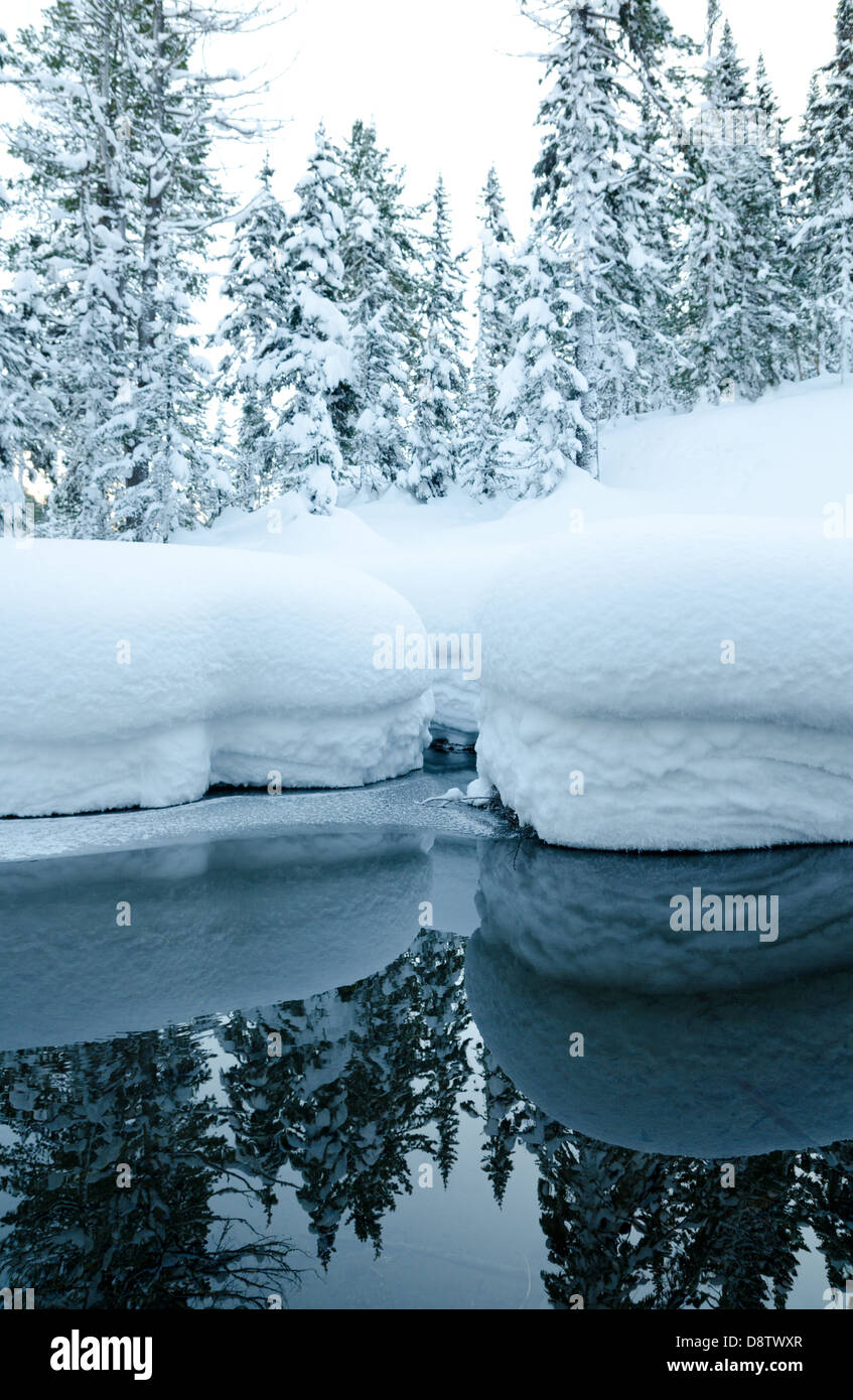 Winter nicht eiskalten Bergbach Stockfoto