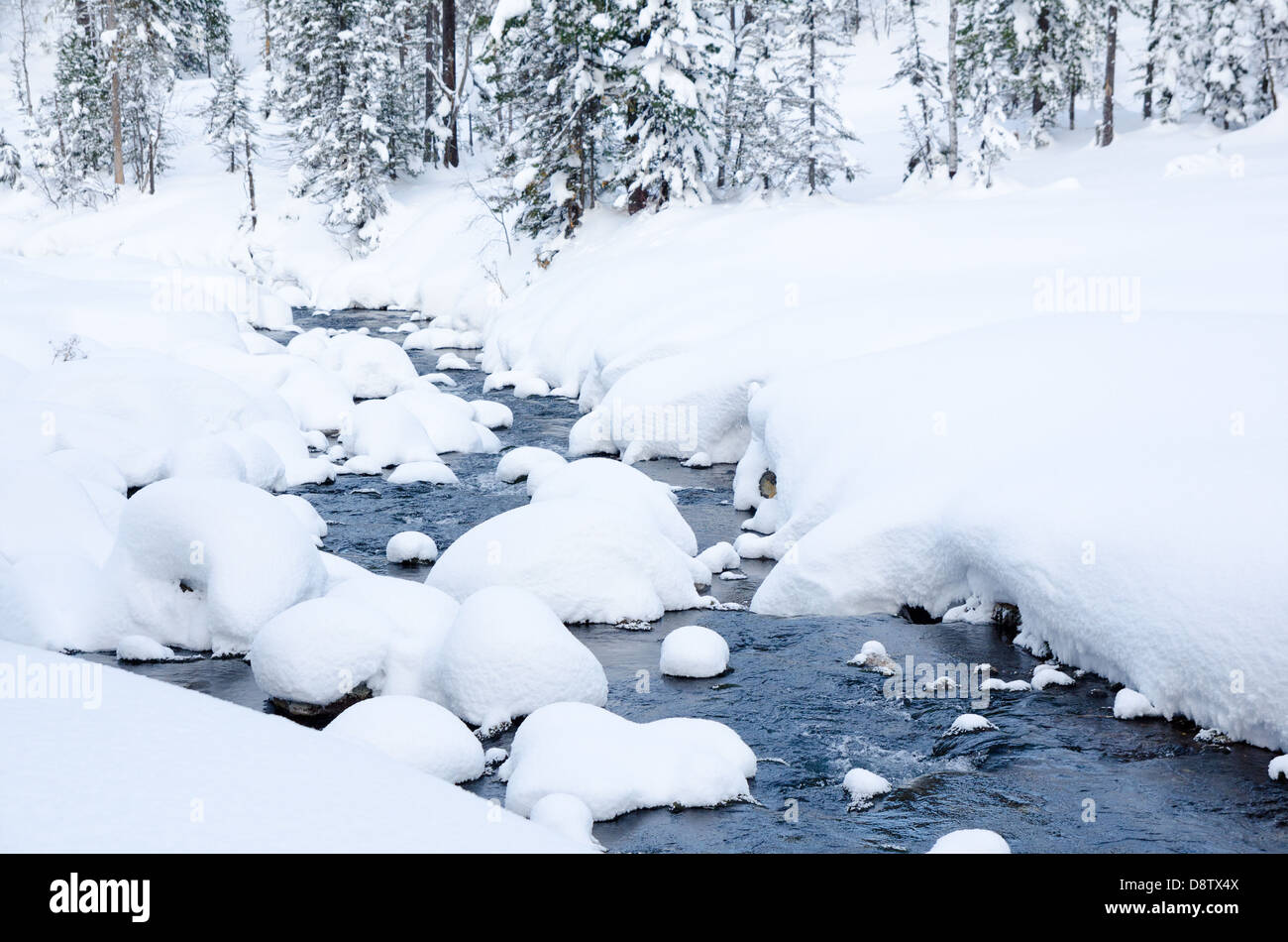Winter Wald Fluss Stockfoto