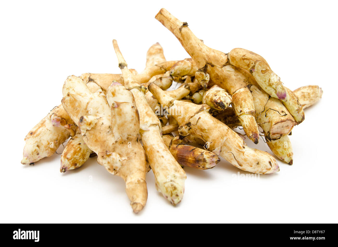 Erde-Äpfel Stockfoto