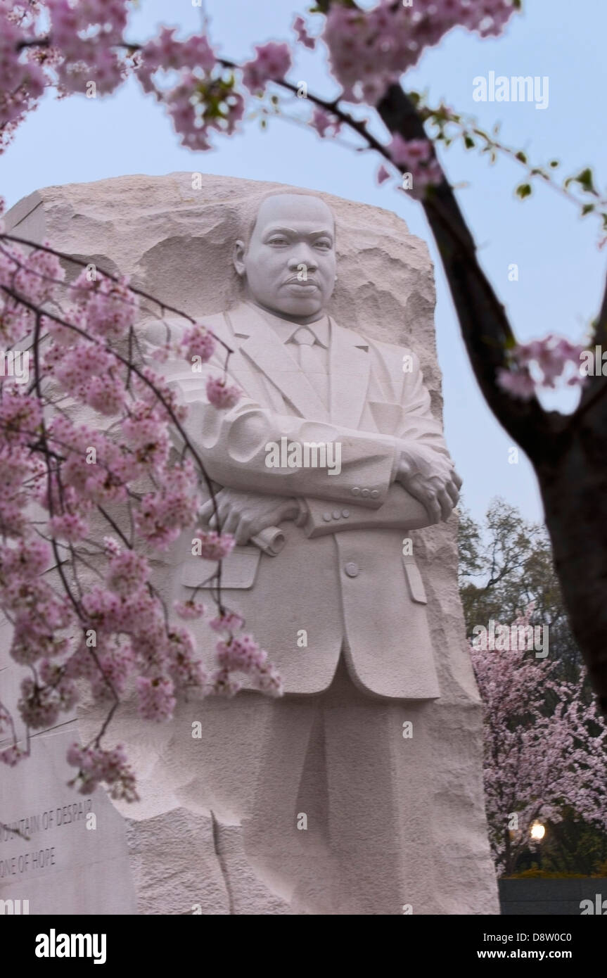 Martin Luther King Memorial in Washington, D.C. mit Kirschblüten im Frühling Stockfoto