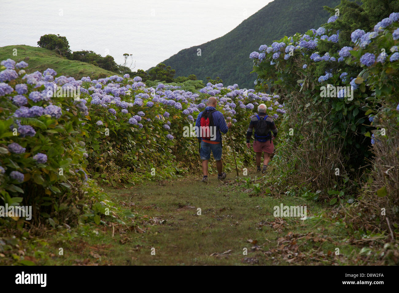 Touristen zu Fuß in die natürliche Spur Fajã de Santo Cristo - São Jorge Insel - Azoren Stockfoto