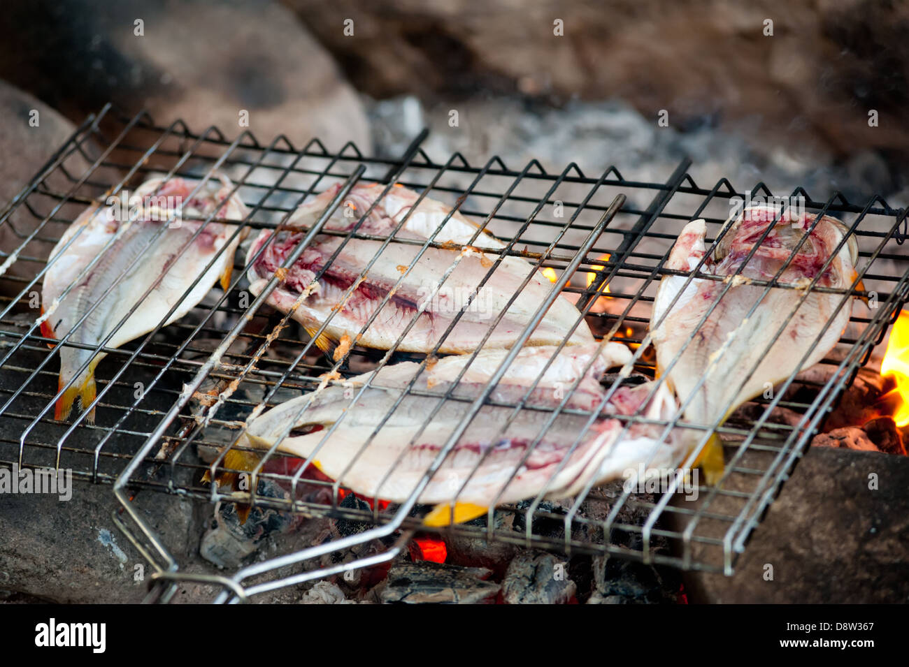 Fisch wird am Feuer geröstet. Stockfoto