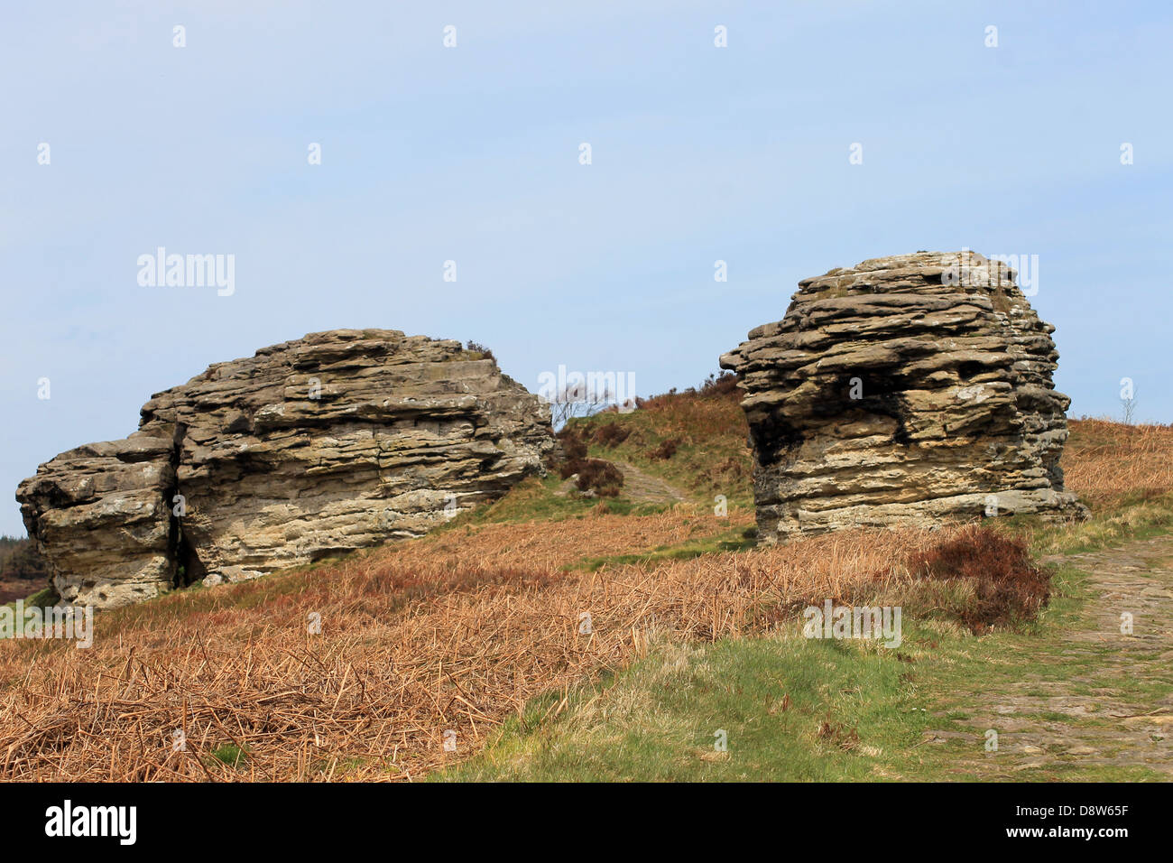 Malerische Aussicht auf erodierten Felsen-Stacks in North Yorkshire Moors National Park, England. Stockfoto