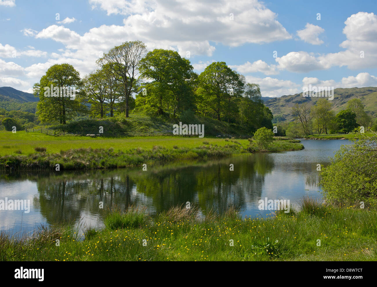 Der Fluß Brathay in der Nähe von Elterwater, Nationalpark Lake District, Cumbria, England UK Stockfoto