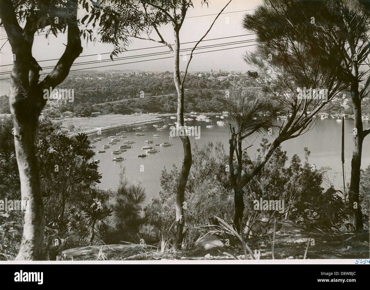 Dieses Schwarzweiß-Archivfoto zeigt die Boote im Middle Harbour in Sydney und bietet einen Einblick in die maritime Aktivität und historische Bedeutung des Hafens in New South Wales. Stockfoto
