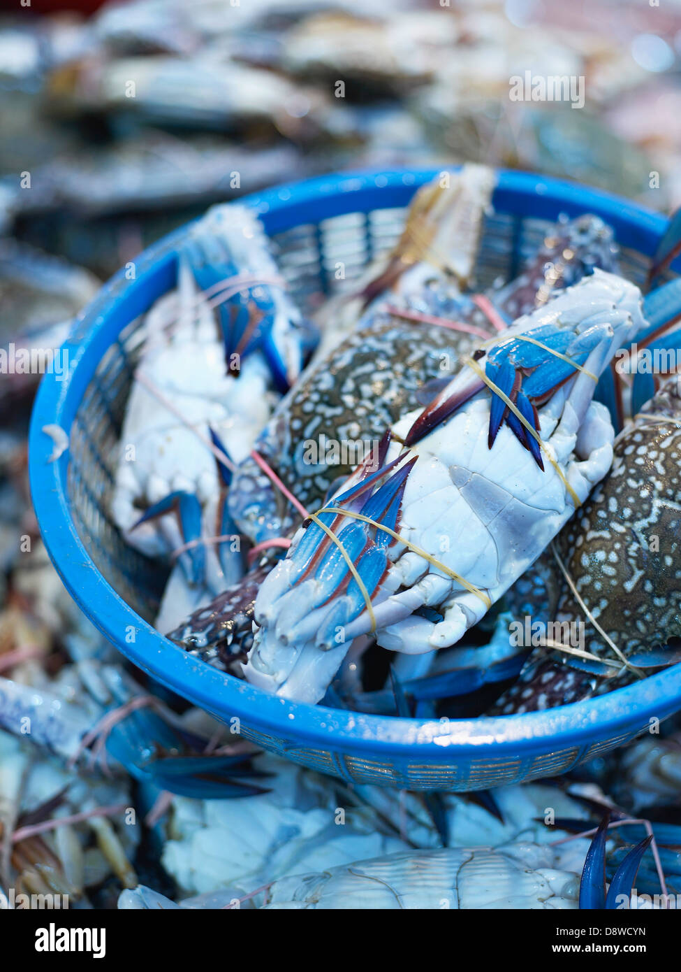 Blaue Krabben und schwarze Hühner auf das Tekka Center Markt Stockfoto