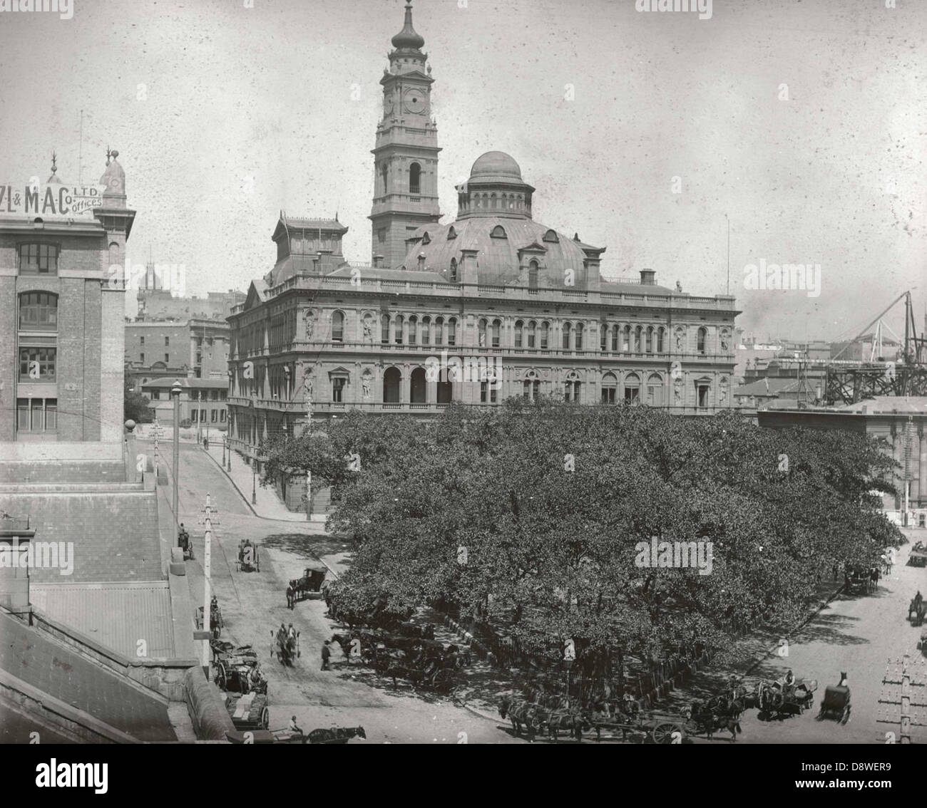 Dieses Foto aus dem New South Wales State Archives repräsentiert einen Moment, der vom Lands Department in Schwarz-weiß aufgenommen wurde. Das Archivbild spiegelt die historische Natur der staatlichen Aufzeichnungen wider und liefert ein visuelles Dokument der vergangenen Landbewirtschaftung und -Planung. Stockfoto