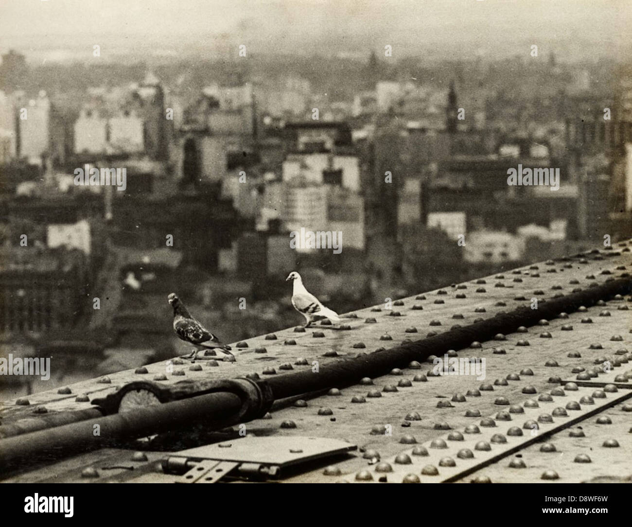 Ein Blick aus der Vogelperspektive auf die Sydney Harbour Bridge, in Schwarz-weiß gehalten, zeigt die ikonische Architektur der Brücke und die umliegende Landschaft von New South Wales. Das Bild ist Teil des State Records NSW Archives und bietet einen historischen Einblick in die Gegend. Stockfoto Ein Blick aus der Vogelperspektive auf die Sydney Harbour Bridge, in Schwarz-weiß gehalten, zeigt die ikonische Architektur der Brücke und die umliegende Landschaft von New South Wales. Das Bild ist Teil des State Records NSW Archives und bietet einen historischen Einblick in die Gegend. Stockfoto