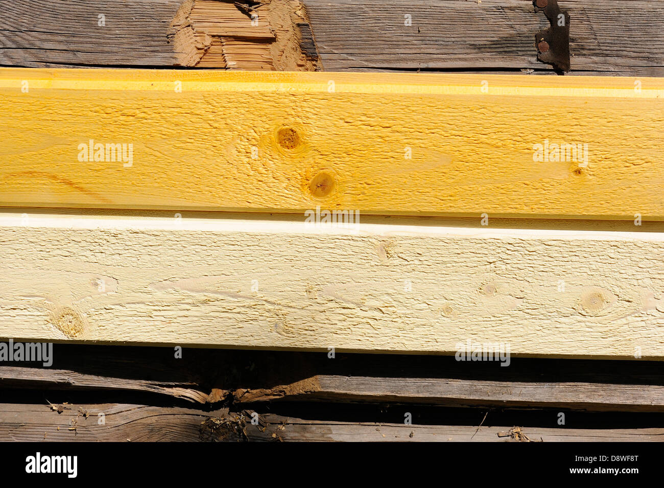 Wetterschenkel mit verschiedenen Tönen von Banane Gelb Farbe bemalt Stockfoto