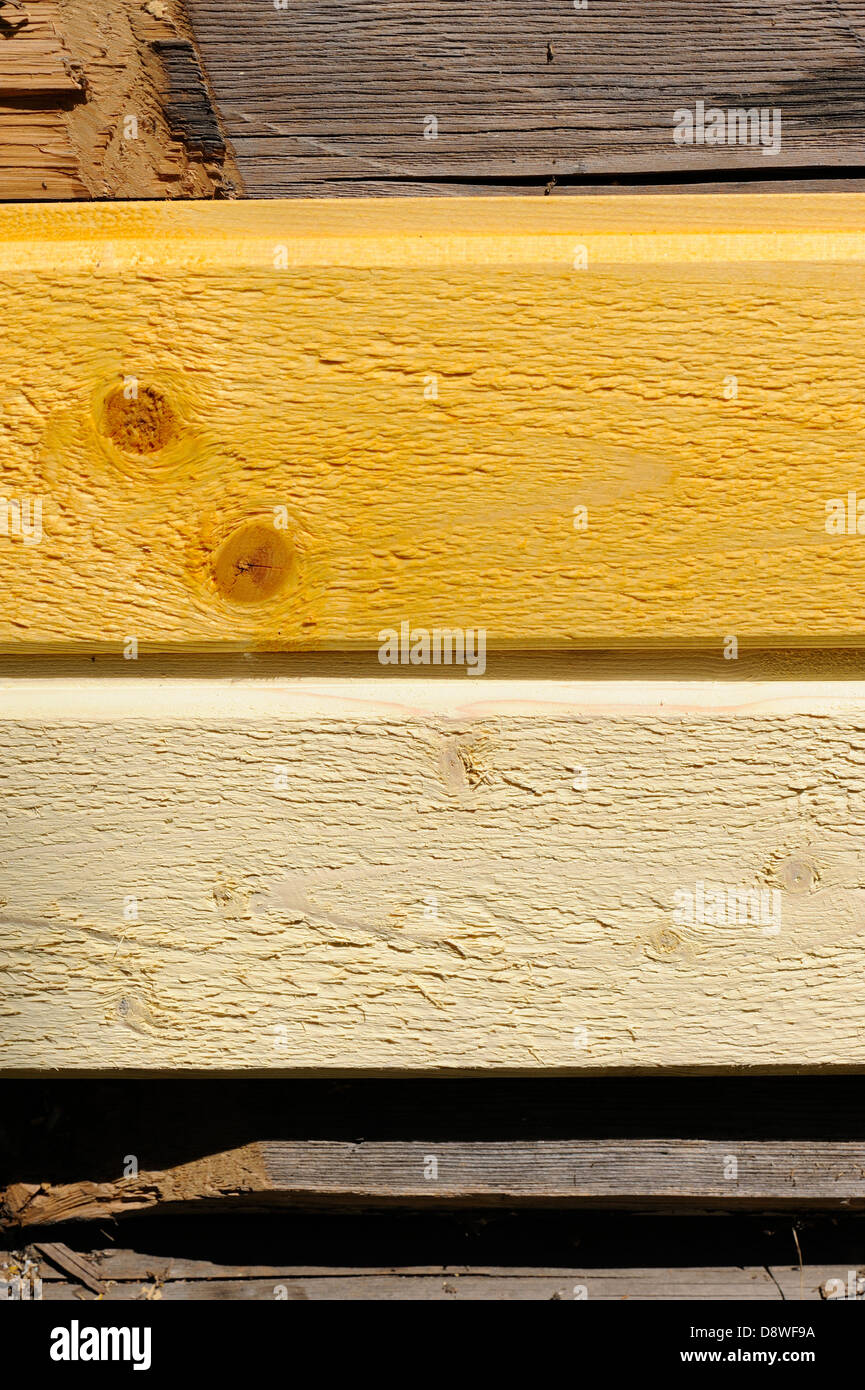 Wetterschenkel mit verschiedenen Tönen von Banane Gelb Farbe bemalt Stockfoto