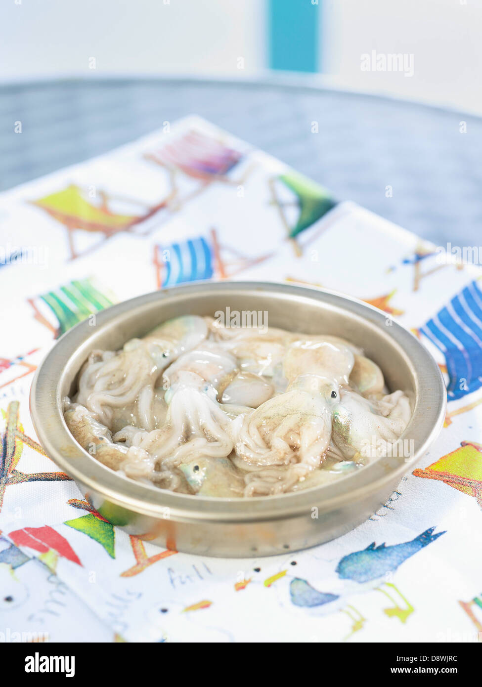 Kleine rohe Krake Stockfoto