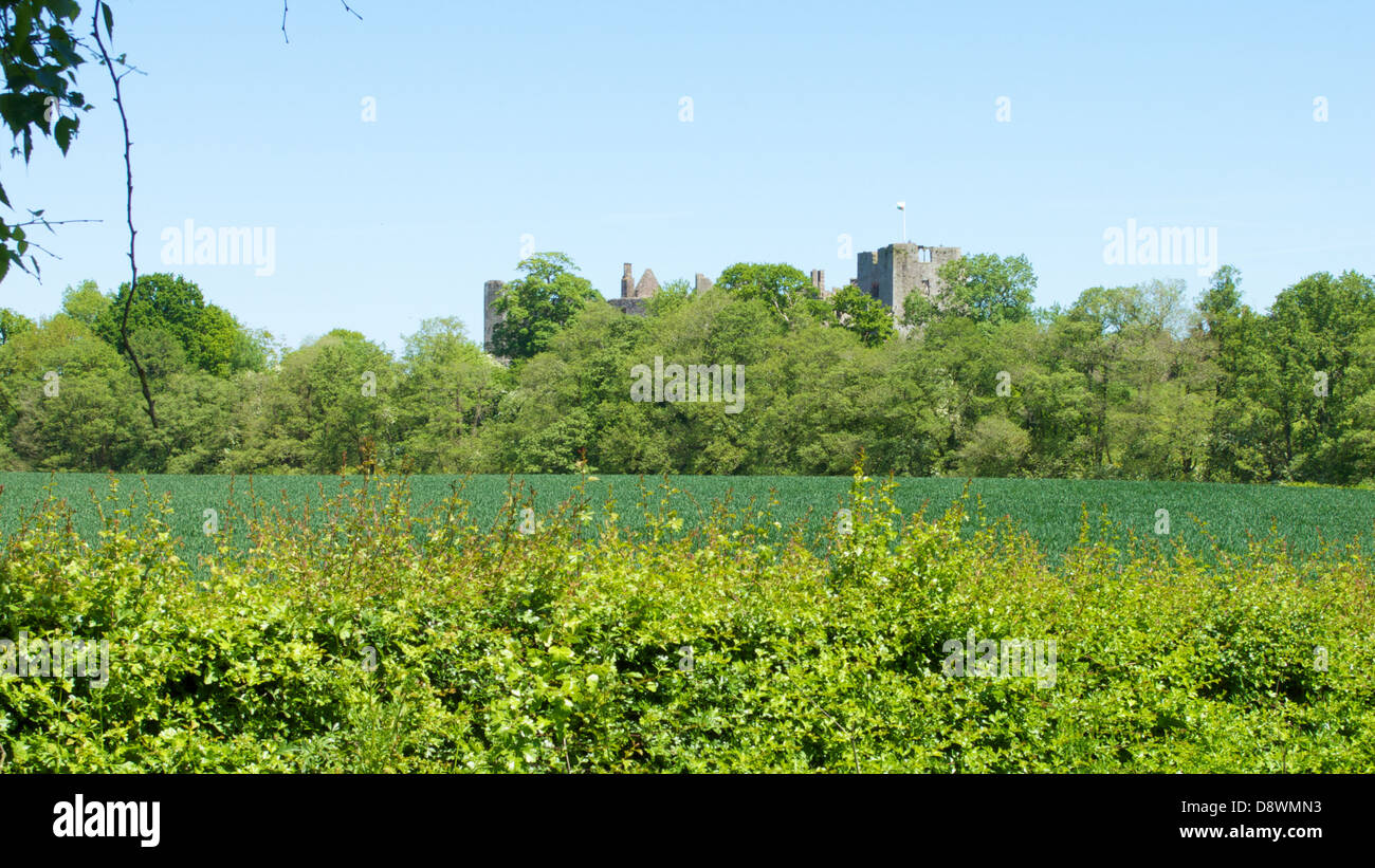 Raglan Castle, Raglan, Monmouthshire, Wales Stockfoto