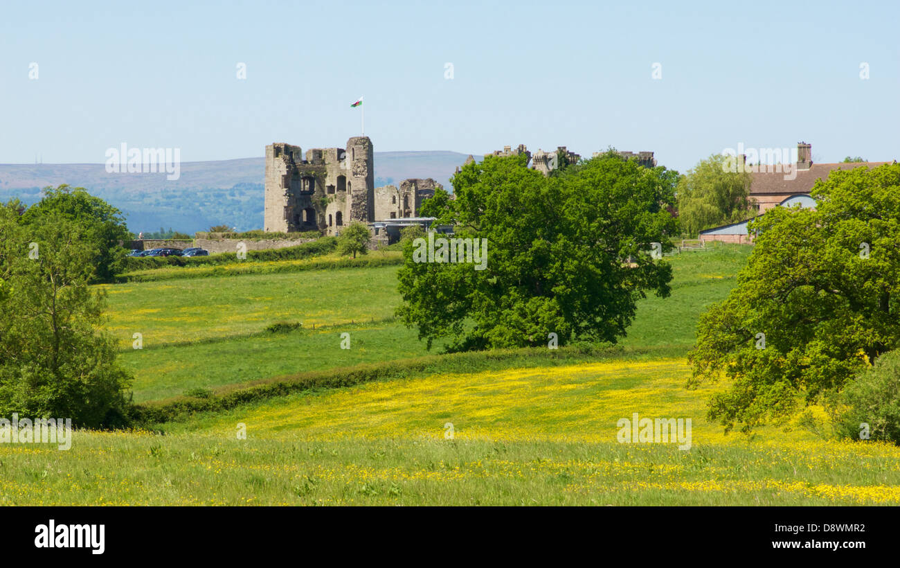 Raglan Castle, Raglan, Monmouthshire, Wales Stockfoto