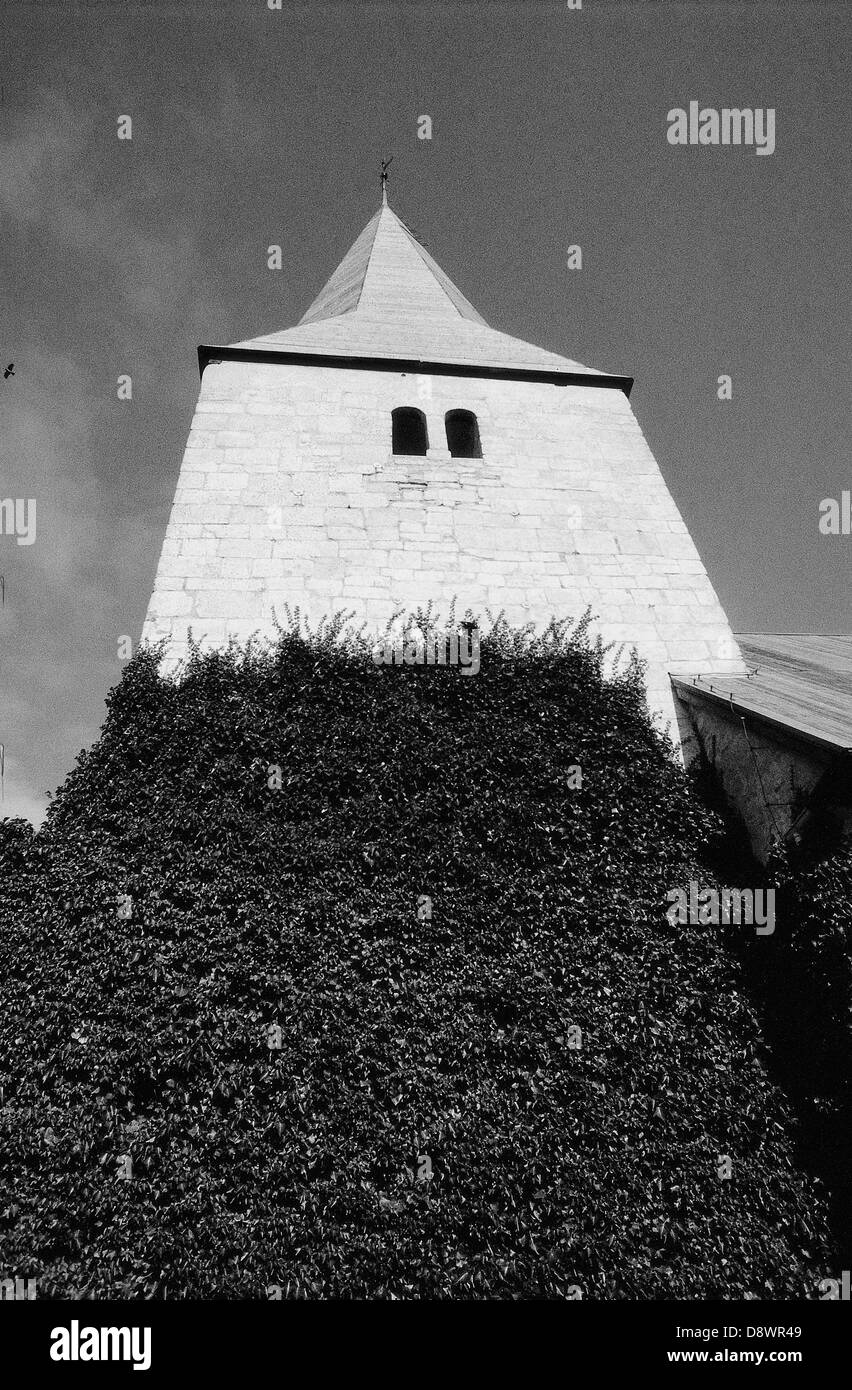 Kirchturm mit Efeu von unten. Stockfoto