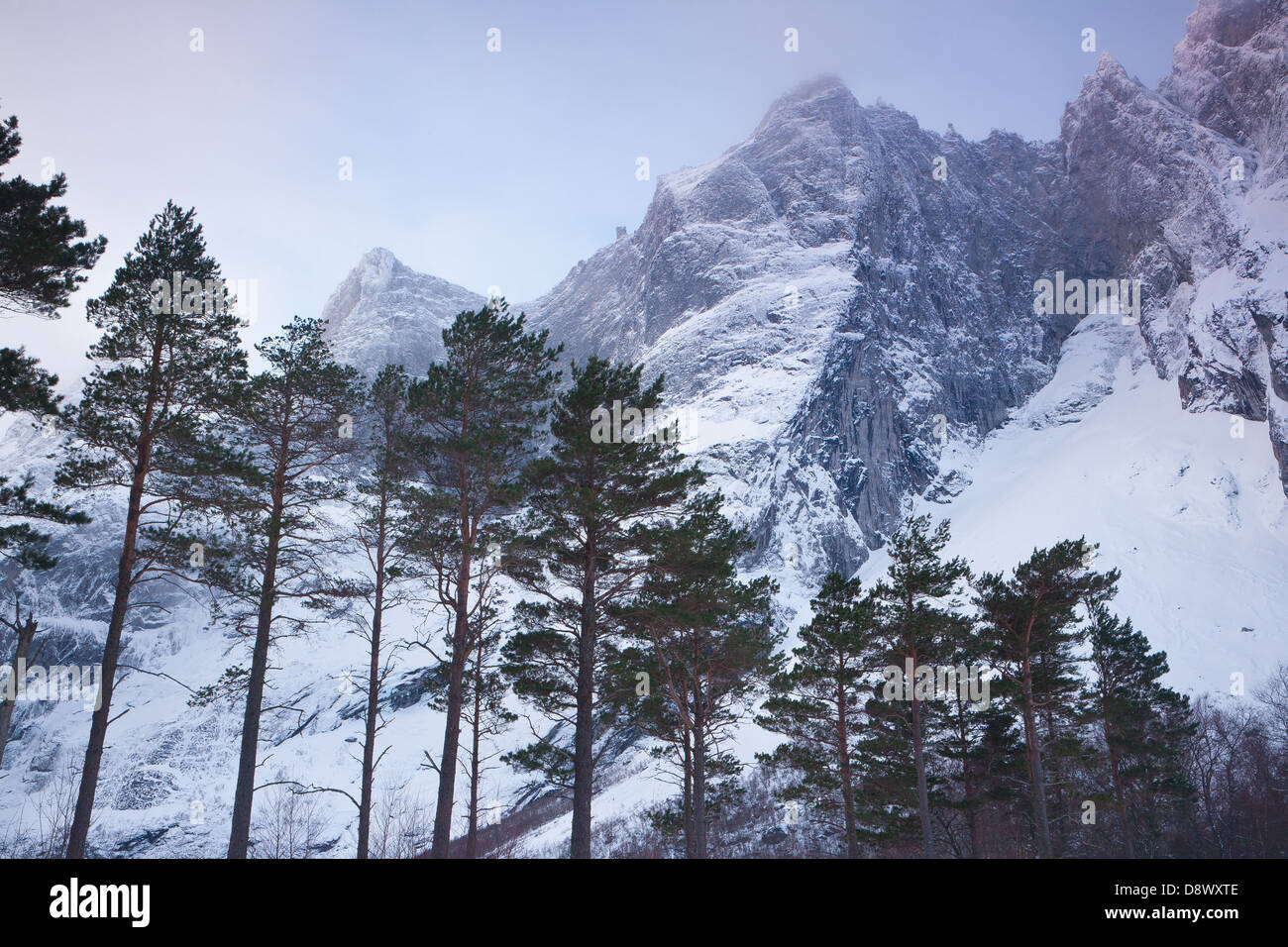 Die Troll Wand und Trolltindane, gesehen vom Talboden Romsdalen Tal, Rauma Kommune, Møre Og Romsdal, Norwegen. Stockfoto