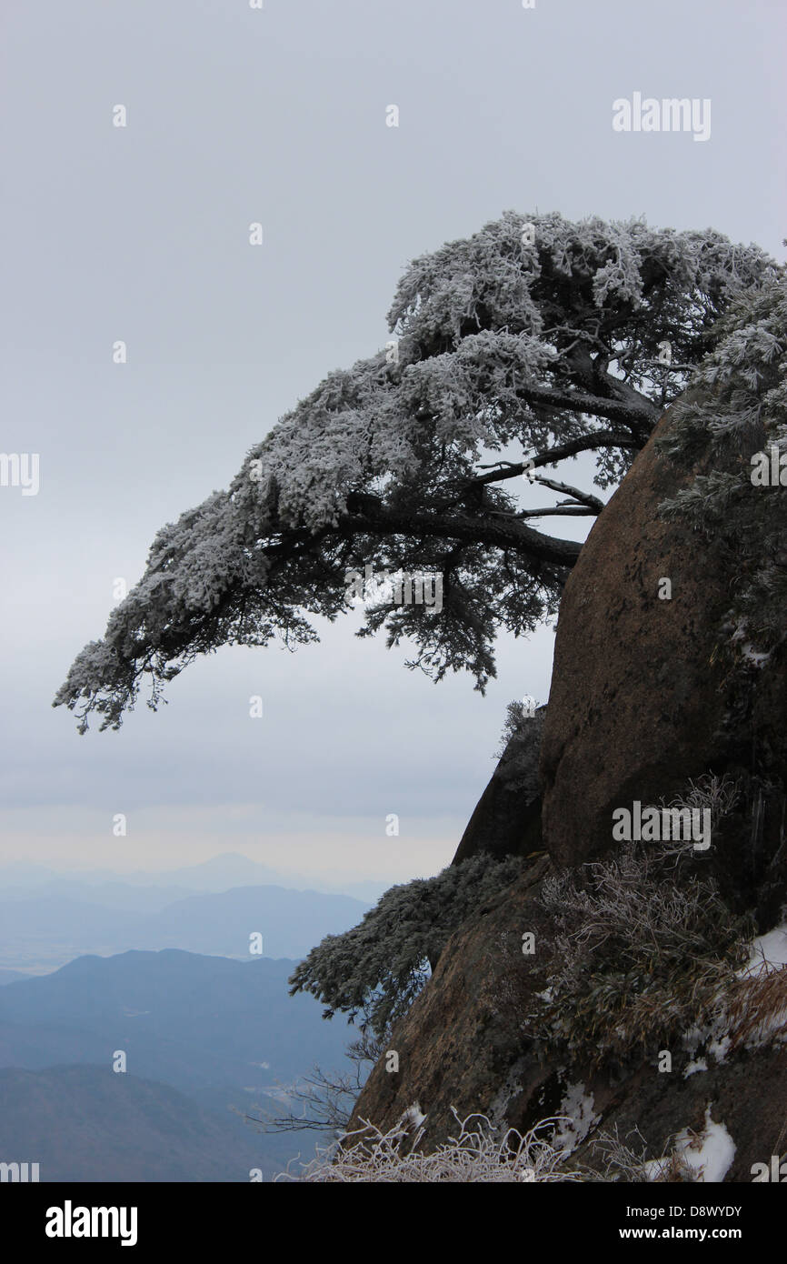 Mount Sanqing den Satz für die Erzählung Stockfoto