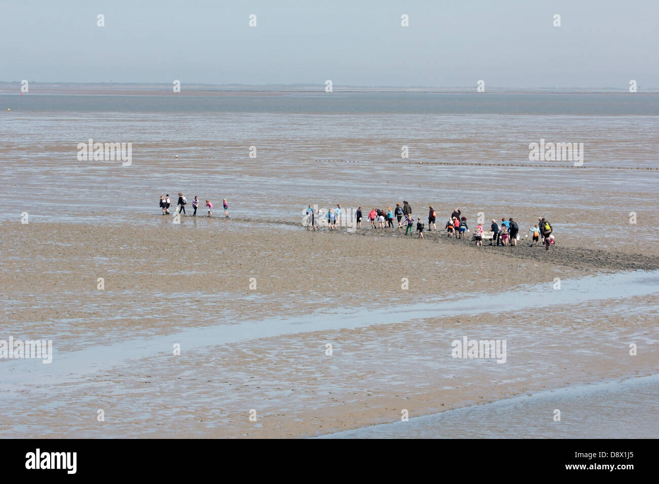 Schülerinnen und Schüler zu Fuß die Wohnungen in the Wadden Sea, Niederlande Stockfoto