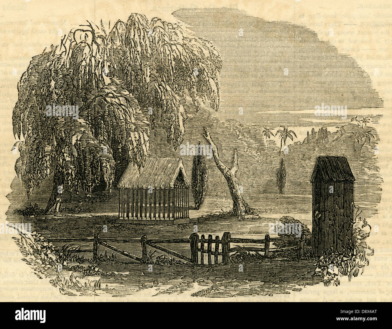 1854-Gravur, die Grab von Napoleon auf St. Helena. Stockfoto
