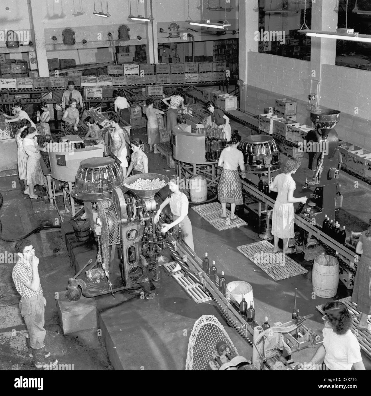 Historische der 1950er Jahre. Obenliegende Bild einer Gruppe von männlichen und weiblichen Arbeitnehmern in einer Abfüllanlage Anlage oder Fabrik. Stockfoto