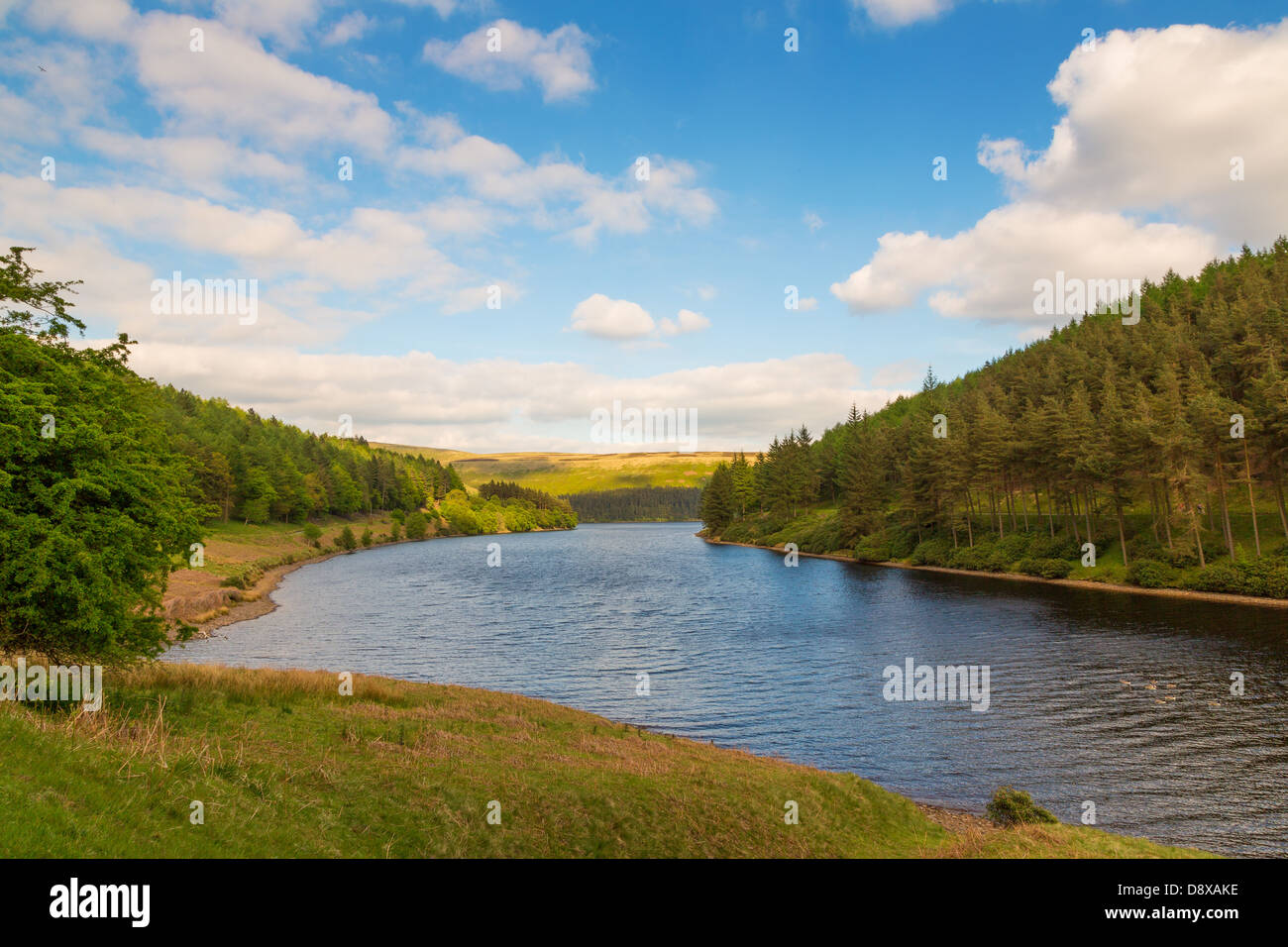 Ansicht des Derwent Water, Peak District, Derbyshire, UK Stockfoto