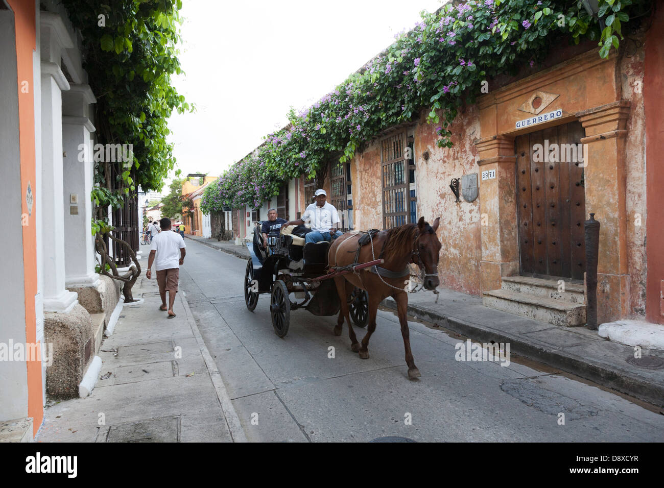 Sehenswürdigkeiten in einer Pferdekutsche, Cartagena, Kolumbien Stockfoto