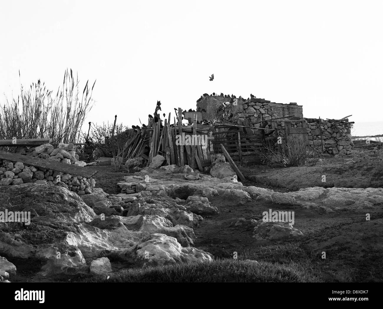 Hütte, niedrigen Winkel Ansicht (B&W) Stockfoto