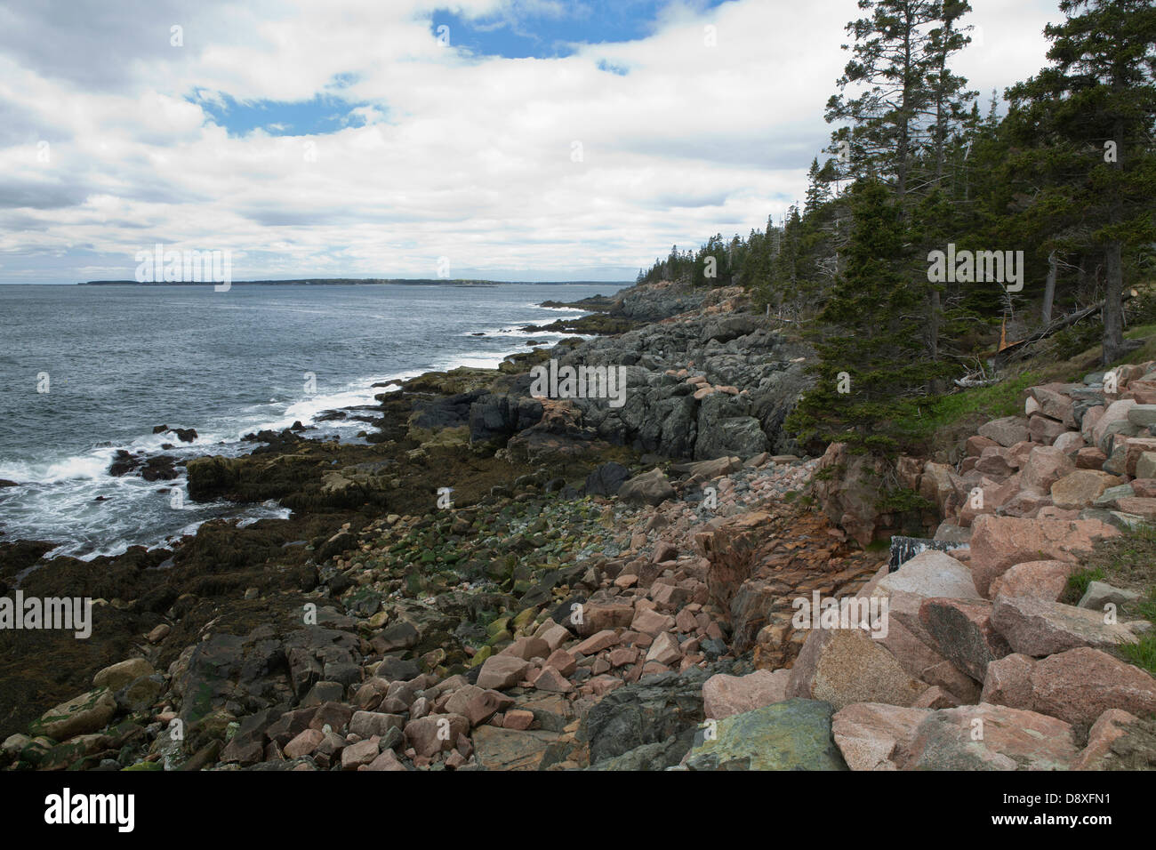Atlantikküste im Acadia National Park. Stockfoto