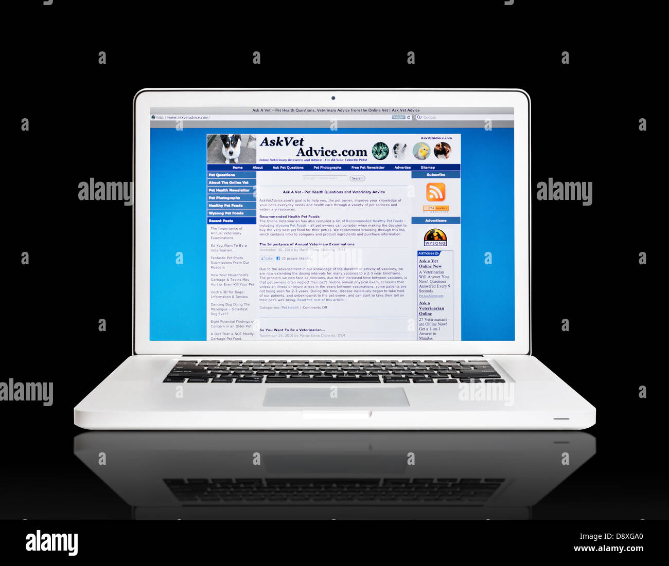 Fragen Sie Tierarzt Beratung Website auf Laptop-Bildschirm - Haustier-Gesundheit-Fragen Stockfoto
