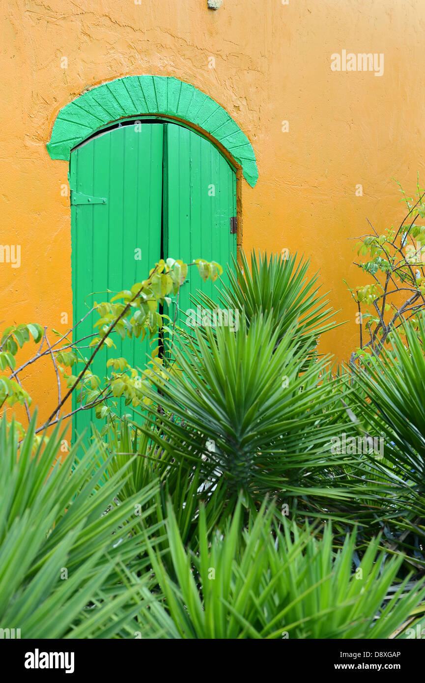 Traditionelle bunte Fenster auf den Bahamas mit einheimischer Vegetation im Vordergrund Stockfoto