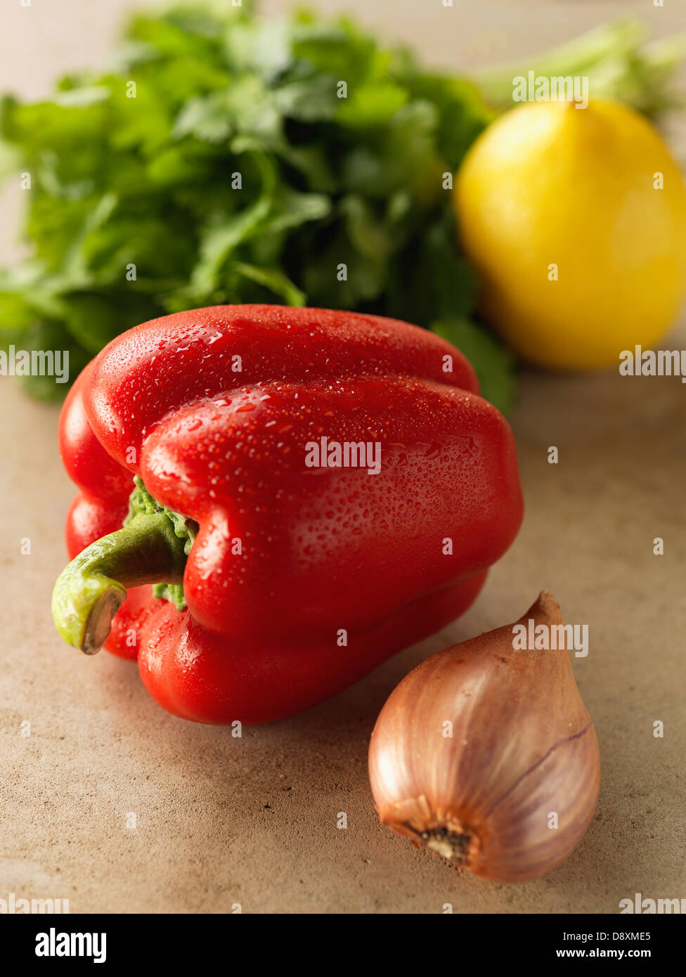 Paprika, Zwiebel, Zitrone und Petersilie Stockfoto