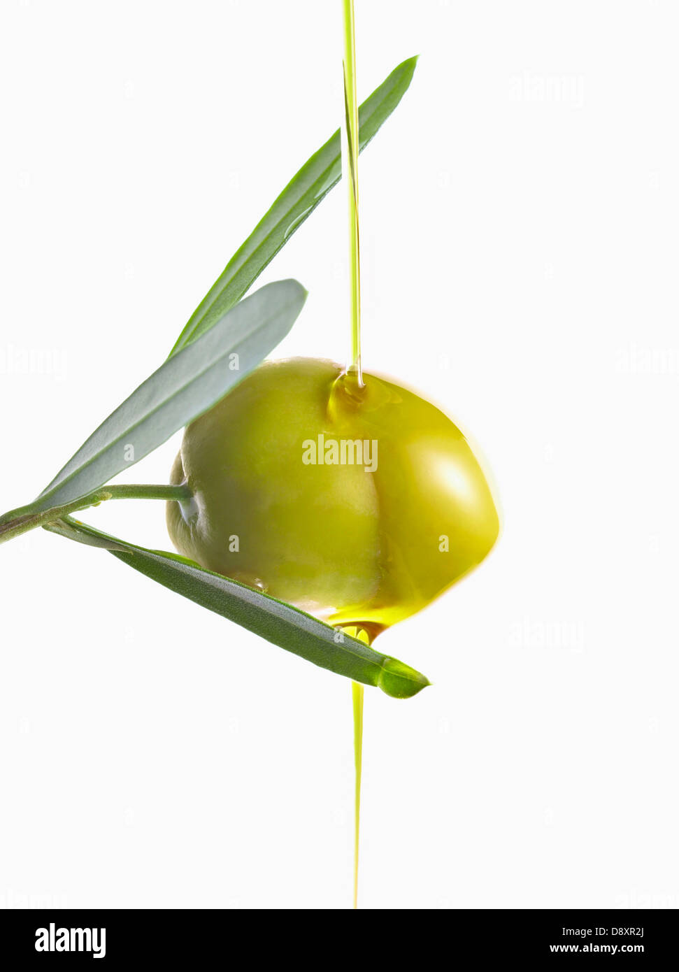 Oliven und Öl auf einen Olivenzweig auf weißem Hintergrund Stockfoto