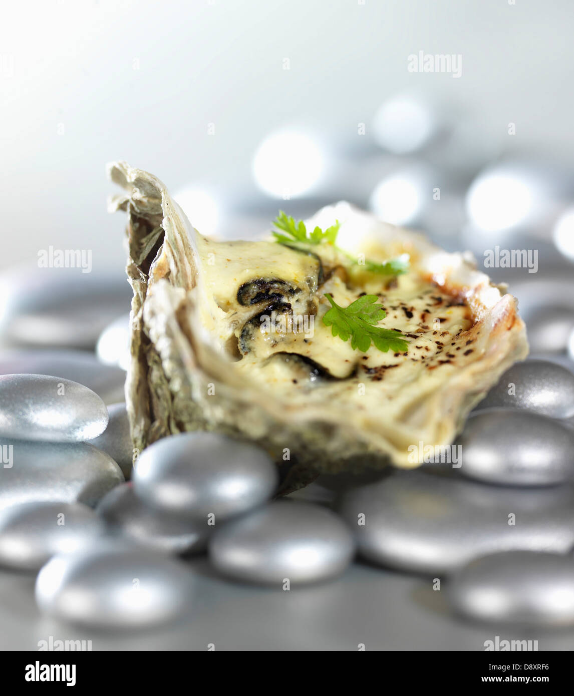 Gegrillte Austern mit Zabaione Stockfoto