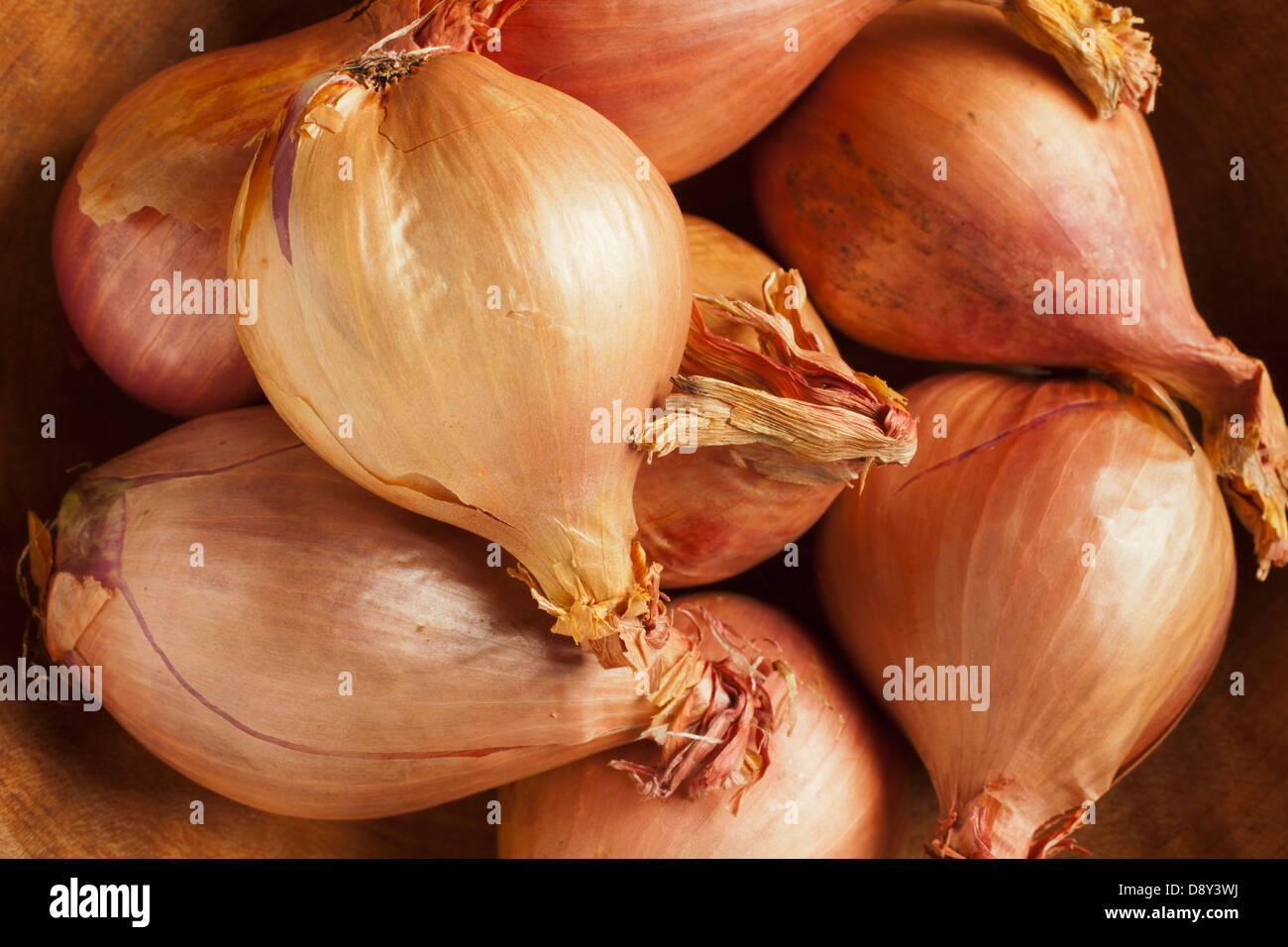 Schalotten, ein Klassiker Stockfoto