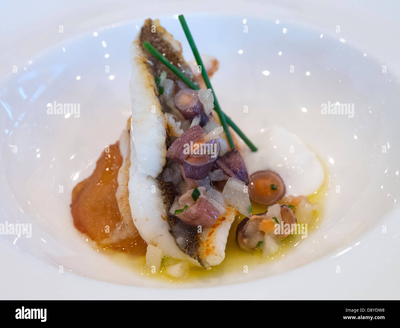 Nouvelle Cuisine Gourmet-Fischgericht Stockfoto