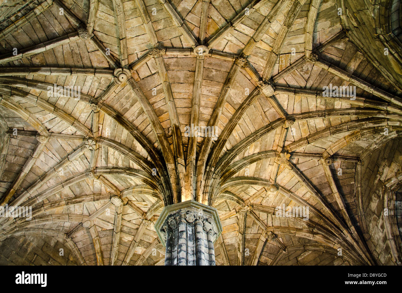 Dach aus Elgin Cathedral Ruinen Stockfoto