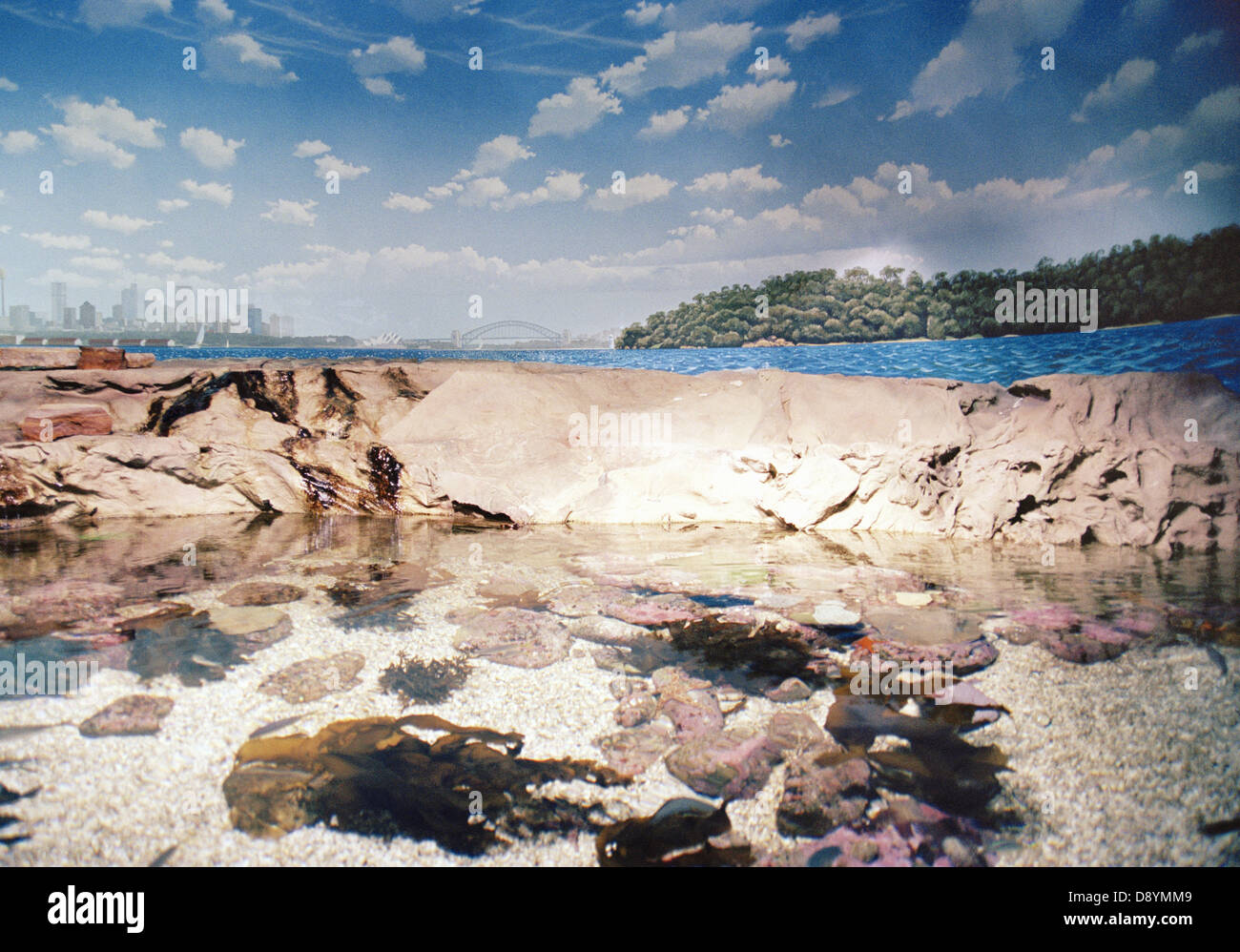 Landschaft mit einer Großstadt im th Hintergrund, Sidney, Australien. Stockfoto