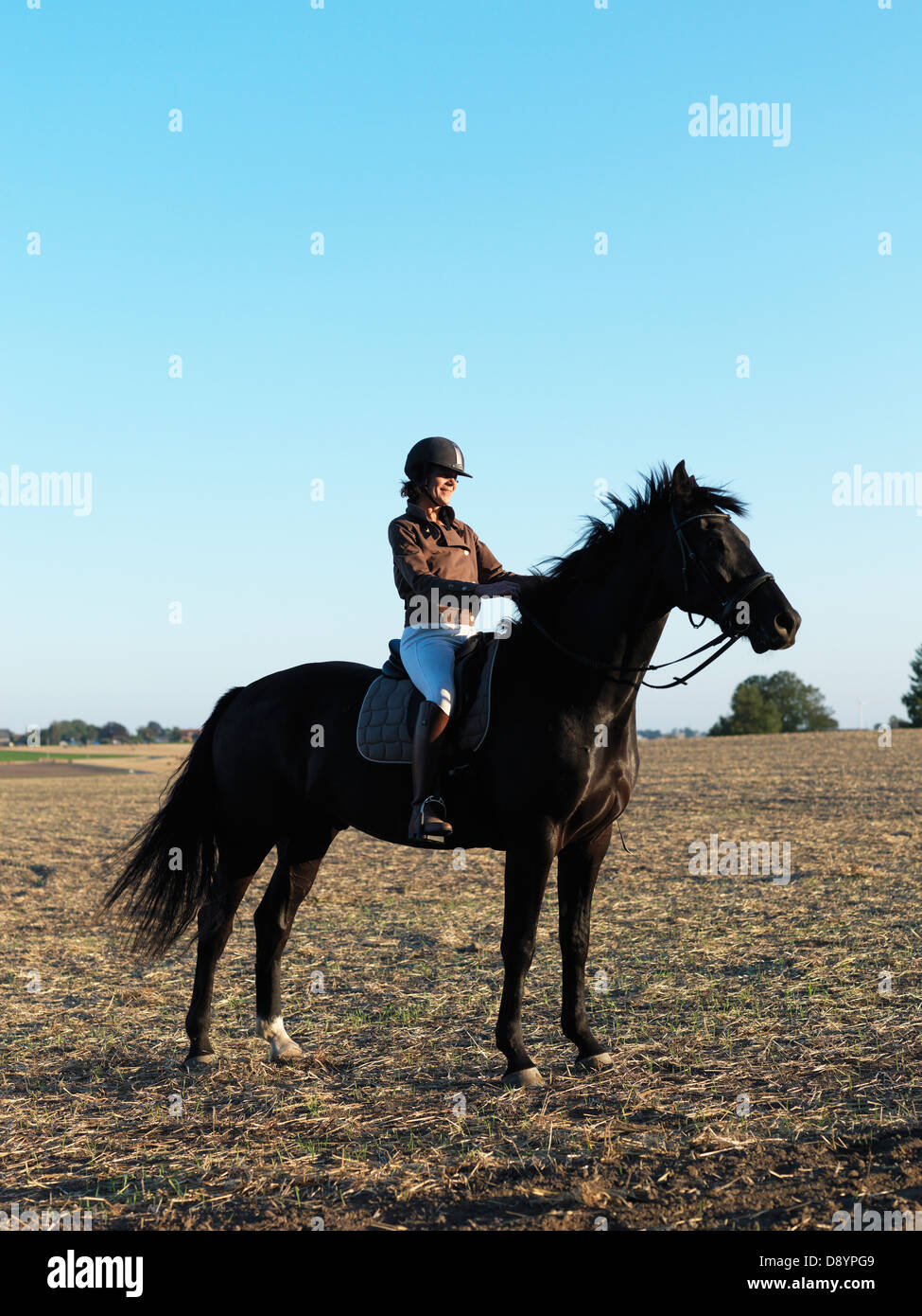 Frau auf dem Rücken der Pferde Stockfoto