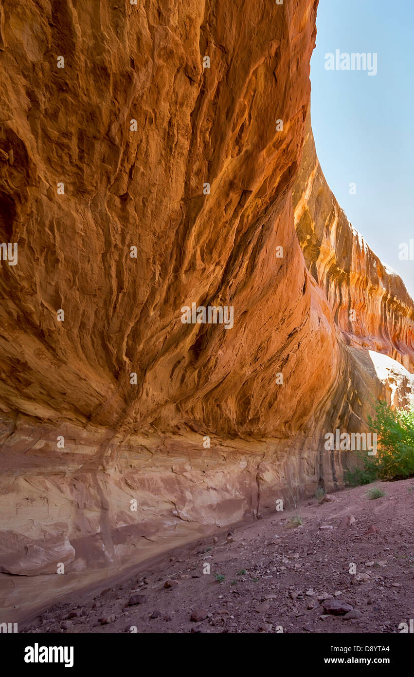 Lavendel-Canyon Stockfoto