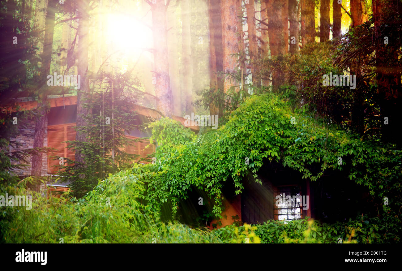 Fantasy Forest mistical Haus mit grünen Blättern bedeckt Stockfoto