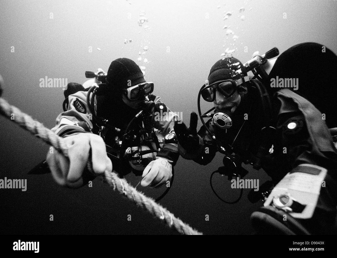 Zwei Taucher unter Wasser. Stockfoto