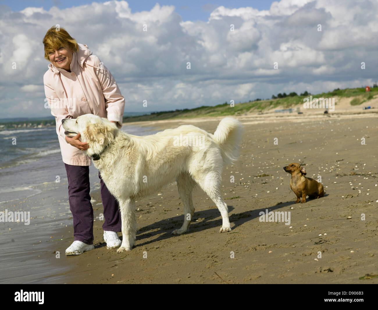 Eine Frau mit ihren beiden Hunden am Strand; eine große und eine kleine. Stockfoto