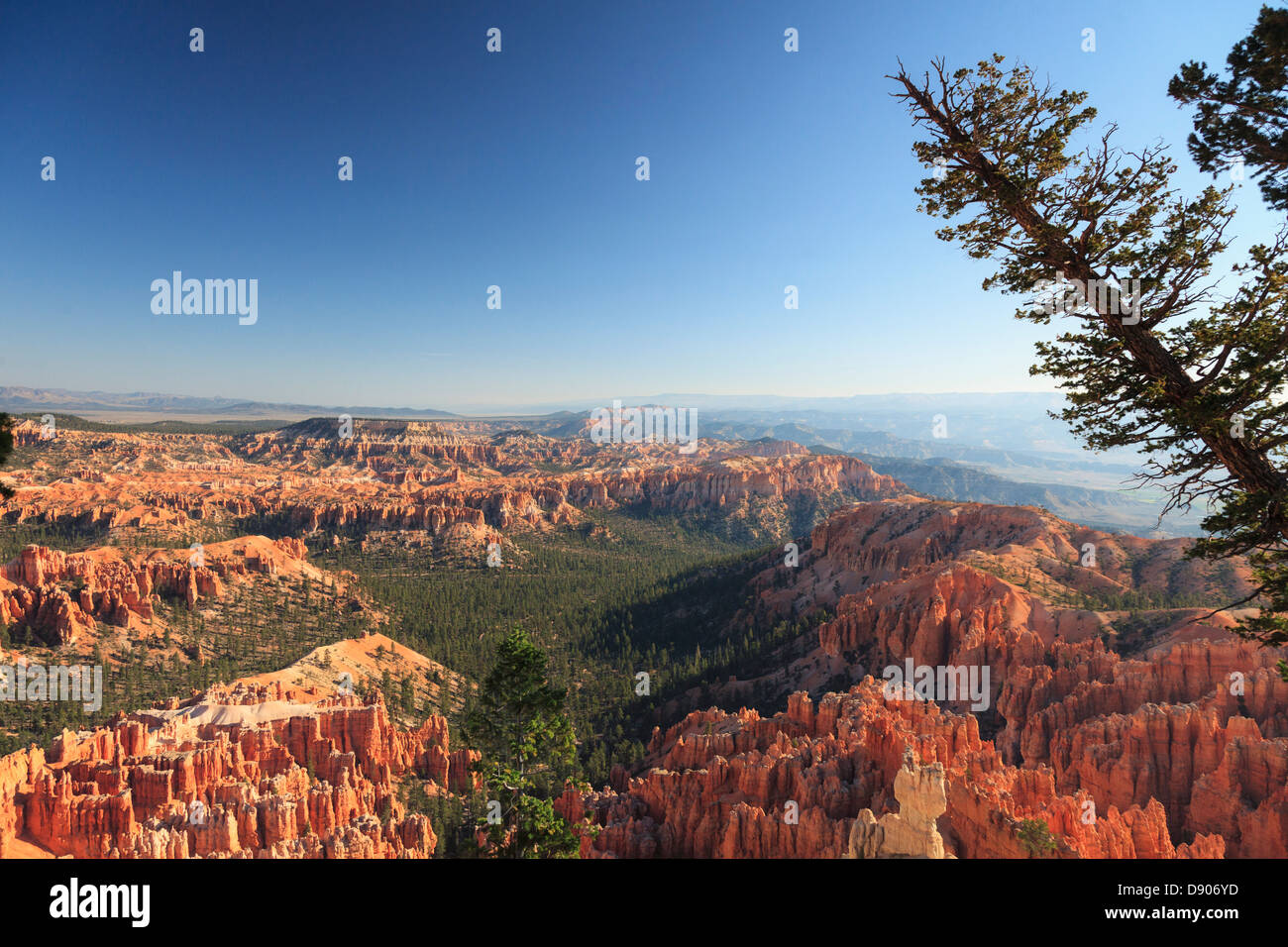 USA, Utah, Bryce Canyon National Park, Bryce Point Stockfoto