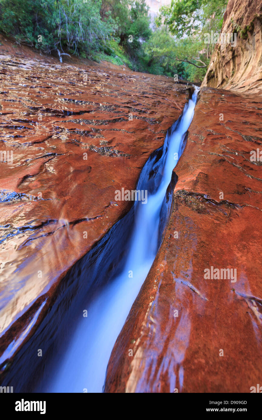 USA, Utah, Zion Canyon Nationalpark, die U-Bahn, Slickrock und kanalisierte Wasser Stockfoto