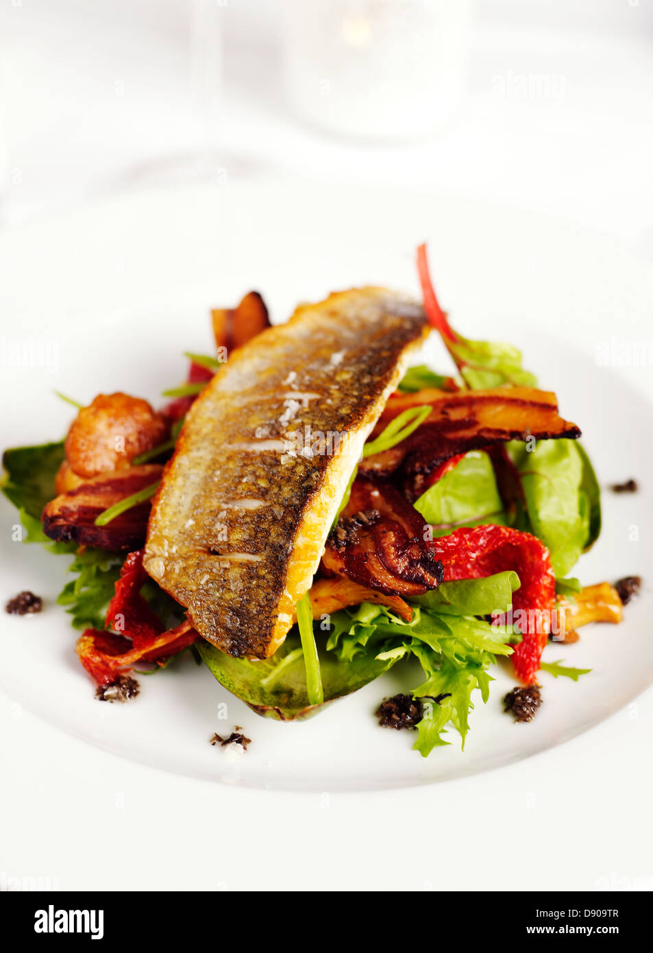 Zander, Pancetta und einem Salat von Pfifferlingen, Schweden. Stockfoto