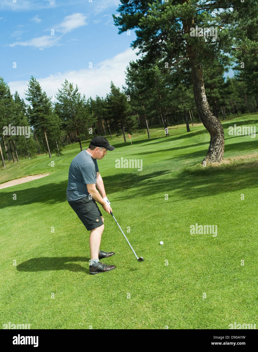 Ein Mann in Dalarna, Schweden Golf zu spielen. Stockfoto