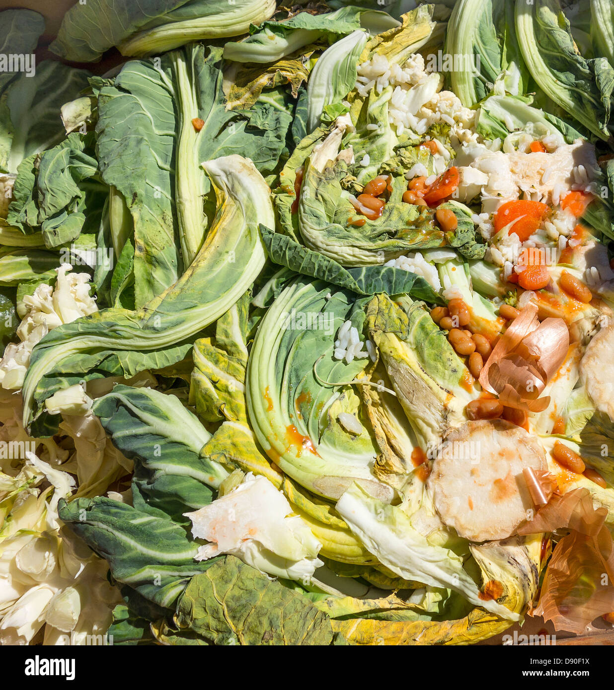 Gemüse-Küchenabfälle für Kompost Kompostierung Stockfoto