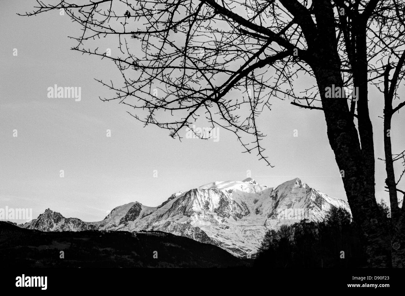 Französische Alpen Landschaft, Baum-Silhouette, die Festlegung der Zusammensetzung führt das Auge des Betrachters zu Schnee Mount Blanc, Haute - Savoie, Frankreich Stockfoto