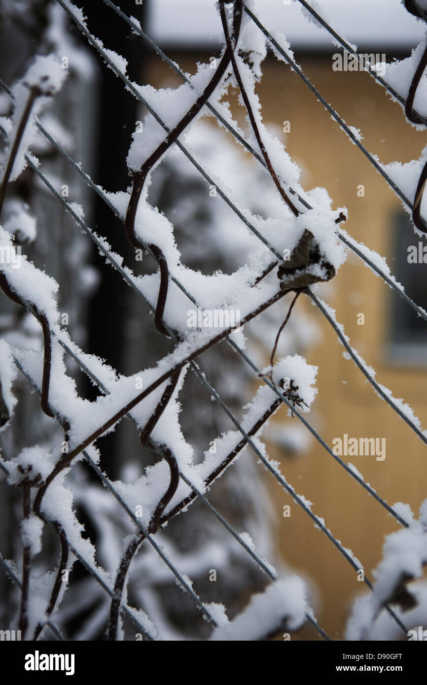 Stiele und Metalldraht mit Schnee bedeckt, Schweden. Stockfoto